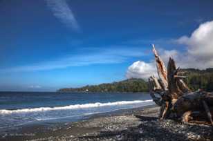 Juan de Fuca Provincial Park-7490